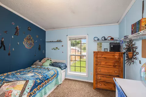 171 Ann St SE, Stanton, MI 48888 photo 15