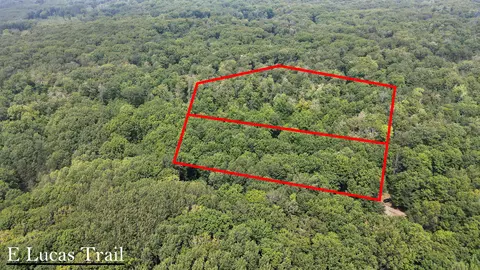 10935 E Lucas Trl, Chase, MI 49623 photo 2