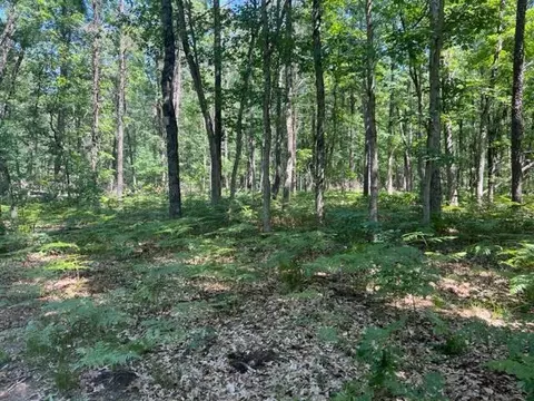 Parcel A Reid Road, Custer, MI 49405 photo 10