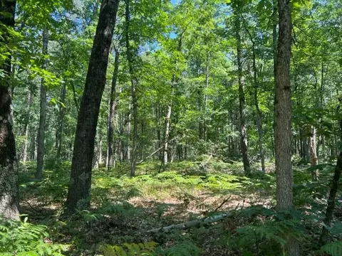 Parcel A Reid Road, Custer, MI 49405 photo 9