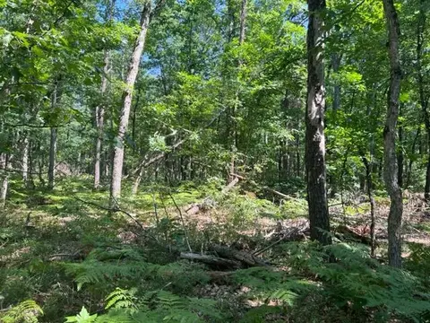 Parcel A Reid Road, Custer, MI 49405 photo 11