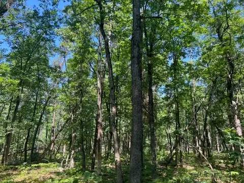 Parcel A Reid Road, Custer, MI 49405 photo 19