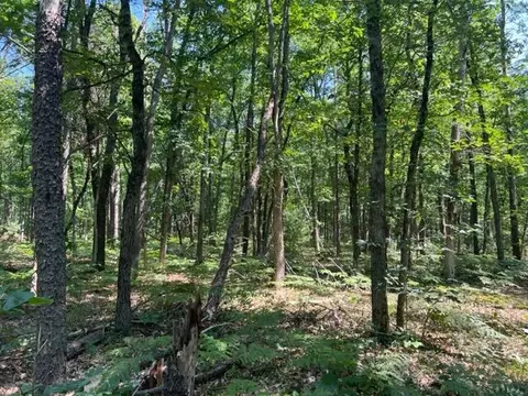 Parcel A Reid Road, Custer, MI 49405 photo 13