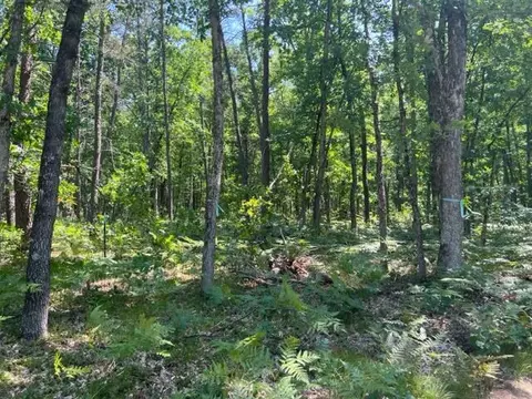Parcel A Reid Road, Custer, MI 49405 photo 2