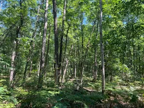 Parcel A Reid Road, Custer, MI 49405 photo 18