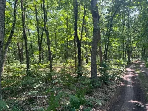 Parcel A Reid Road, Custer, MI 49405 photo 21