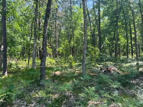 Parcel A Reid Road, Custer, MI 49405