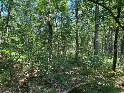Parcel A Reid Road, Custer, MI 49405 photo 8