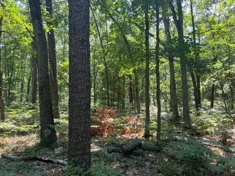 Parcel A Reid Road, Custer, MI 49405 photo 12