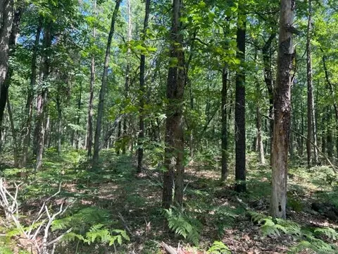 Parcel A Reid Road, Custer, MI 49405 photo 14