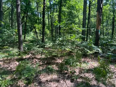 Parcel A Reid Road, Custer, MI 49405 photo 6