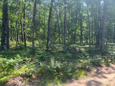 Parcel A Reid Road, Custer, MI 49405 photo 3