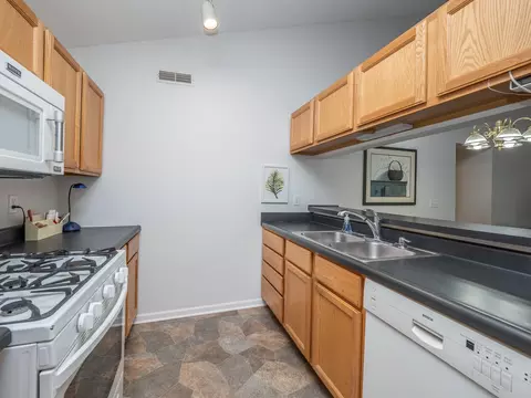 329 Westbrook Ct, Marshall, MI 49068 photo 11