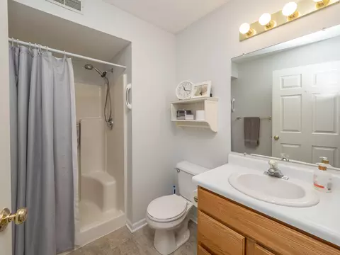 329 Westbrook Ct, Marshall, MI 49068 photo 19
