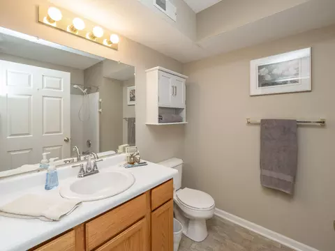 329 Westbrook Ct, Marshall, MI 49068 photo 21