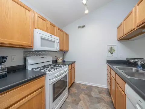 329 Westbrook Ct, Marshall, MI 49068 photo 10