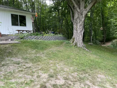 8308 12 Mile Rd, Evart, MI 49631 photo 64