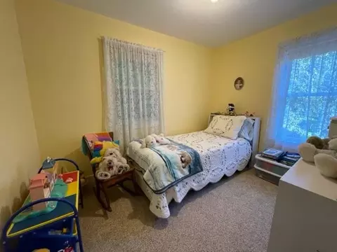 8308 12 Mile Rd, Evart, MI 49631 photo 20
