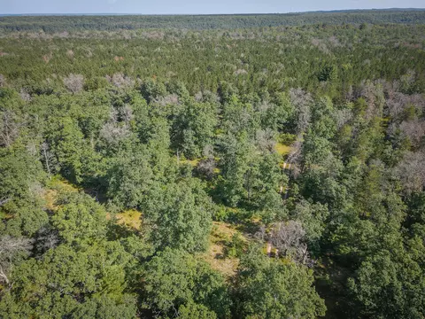 V/l Van Road, Wellston, MI 49689