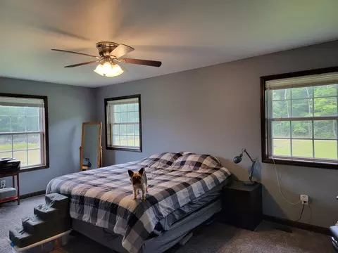 1207 Wicker Rd SE, Stanton, MI 48888 photo 10