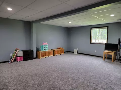1207 Wicker Rd SE, Stanton, MI 48888 photo 18