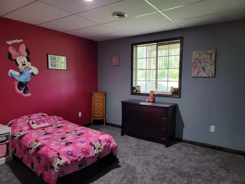 1207 Wicker Rd SE, Stanton, MI 48888 photo 11