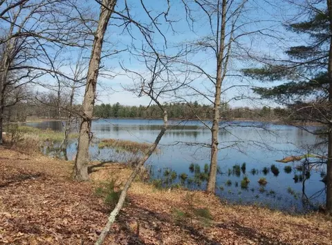 V/l N Beaver Trail, Bitely, MI 49309
