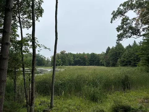 V/l Hwy Us10, Baldwin, MI 49304