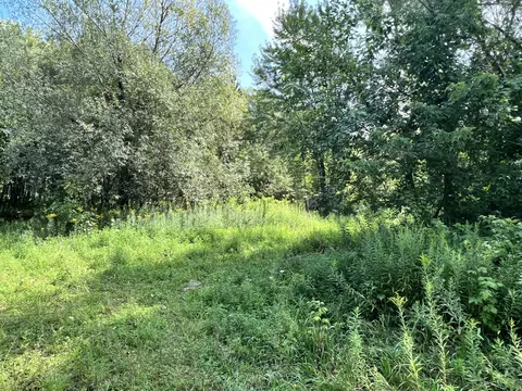 197 E 205 Elm St, Cedar Springs, MI 49319