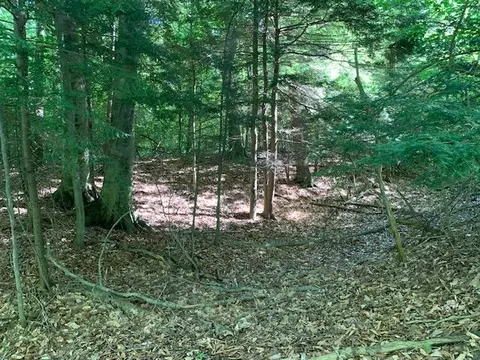 Schoedel Road, Manistee, MI 49660