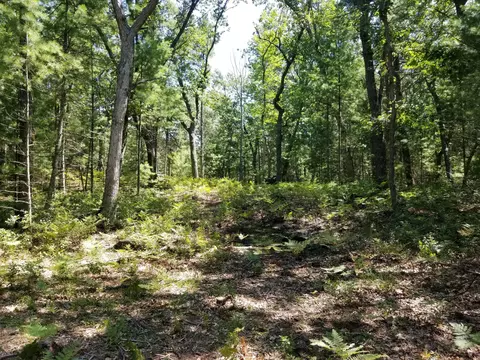Vl N Perry Avenue, Pentwater, MI 49449