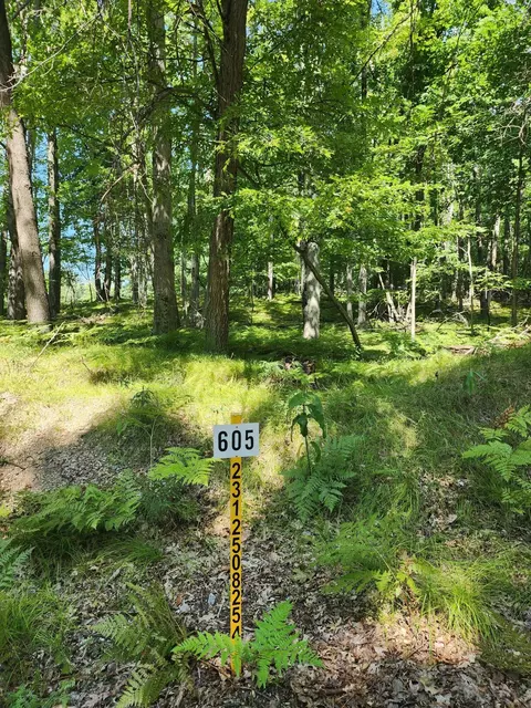11300 Apache Wells Ct, Canadian Lakes, MI 49346