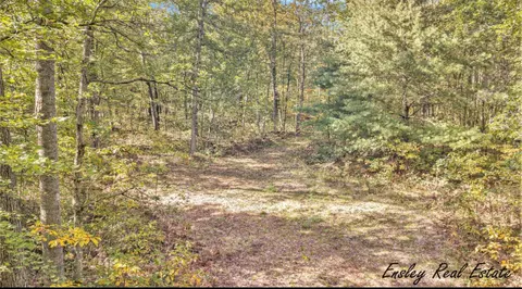 V/l S Woodland Dr, Newaygo, MI 49337