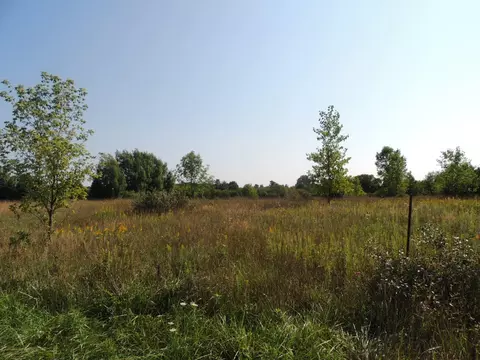 Rolling Hills Drive, Fennville, MI 49408