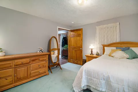 219 Main St, Walkerville, MI 49459 photo 19