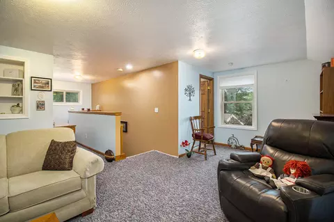 219 Main St, Walkerville, MI 49459 photo 35