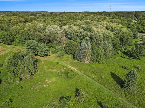 3390 Allston Dr, Jackson, MI 49201 photo 78