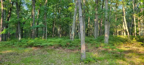 720 N M-37, Baldwin, MI 49304 photo 48