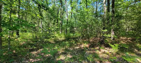 720 N M-37, Baldwin, MI 49304 photo 49