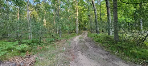 720 N M-37, Baldwin, MI 49304 photo 52