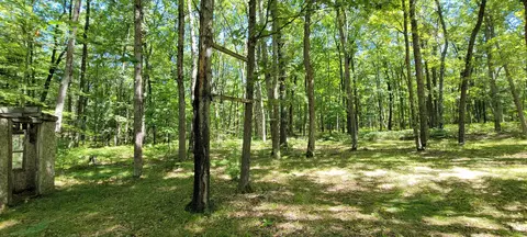 720 N M-37, Baldwin, MI 49304 photo 50