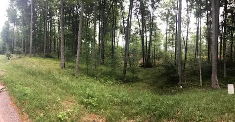 15 Mile Rd, Big Rapids, MI 49307