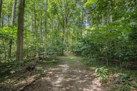 2495 103rd Ave, Otsego, MI 49078 photo 38