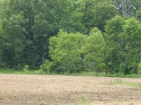 2990 N Dancer Rd, Dexter, MI 48130 photo 9