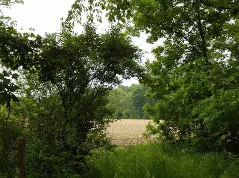 2990 N Dancer Rd, Dexter, MI 48130 photo 1
