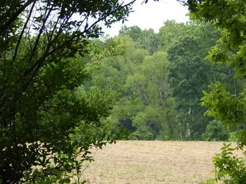 2990 N Dancer Rd, Dexter, MI 48130 photo 4