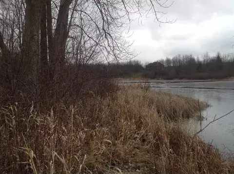 6863 Daly Rd, Dexter, MI 48130 photo 2