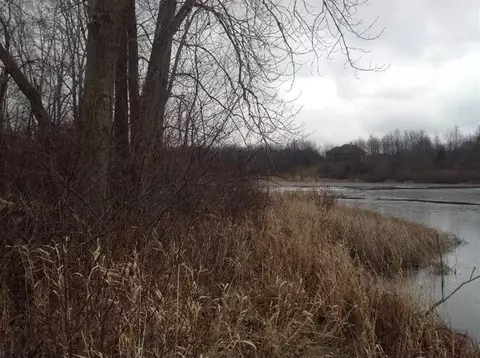 6863 Daly Rd, Dexter, MI 48130 photo 4
