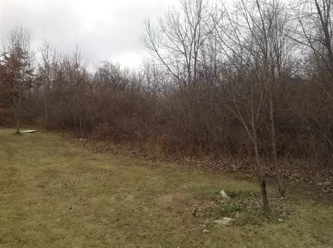 6863 Daly Rd, Dexter, MI 48130 photo 5