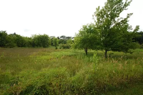 7570 Quail Rdg, Dexter, MI 48130 photo 3